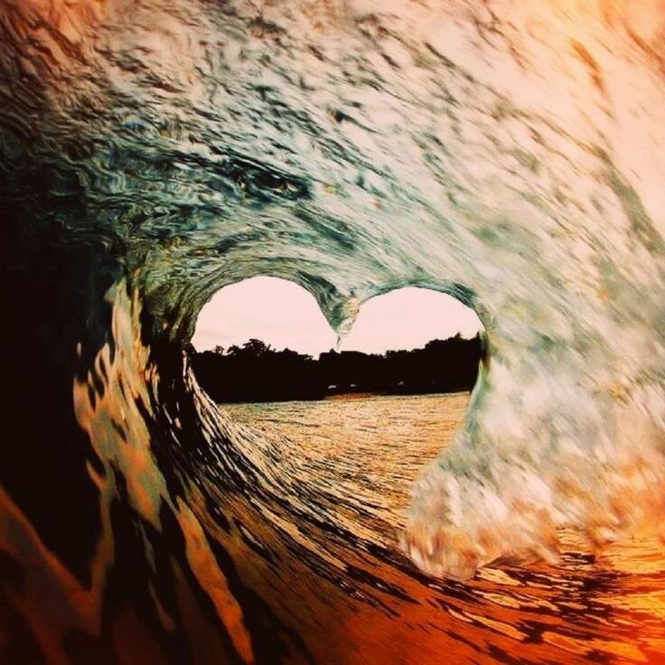 Abbymanxoxo Chatroom