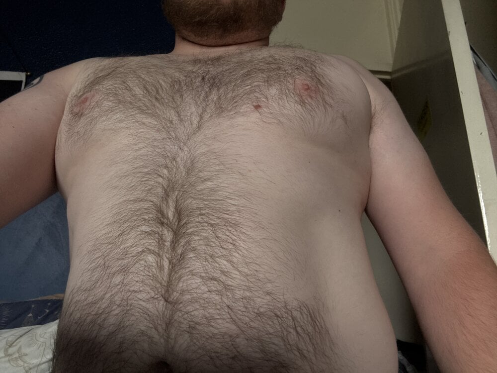 AverageBloke93 Chatroom