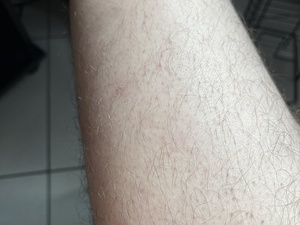 Bananagigante_strip