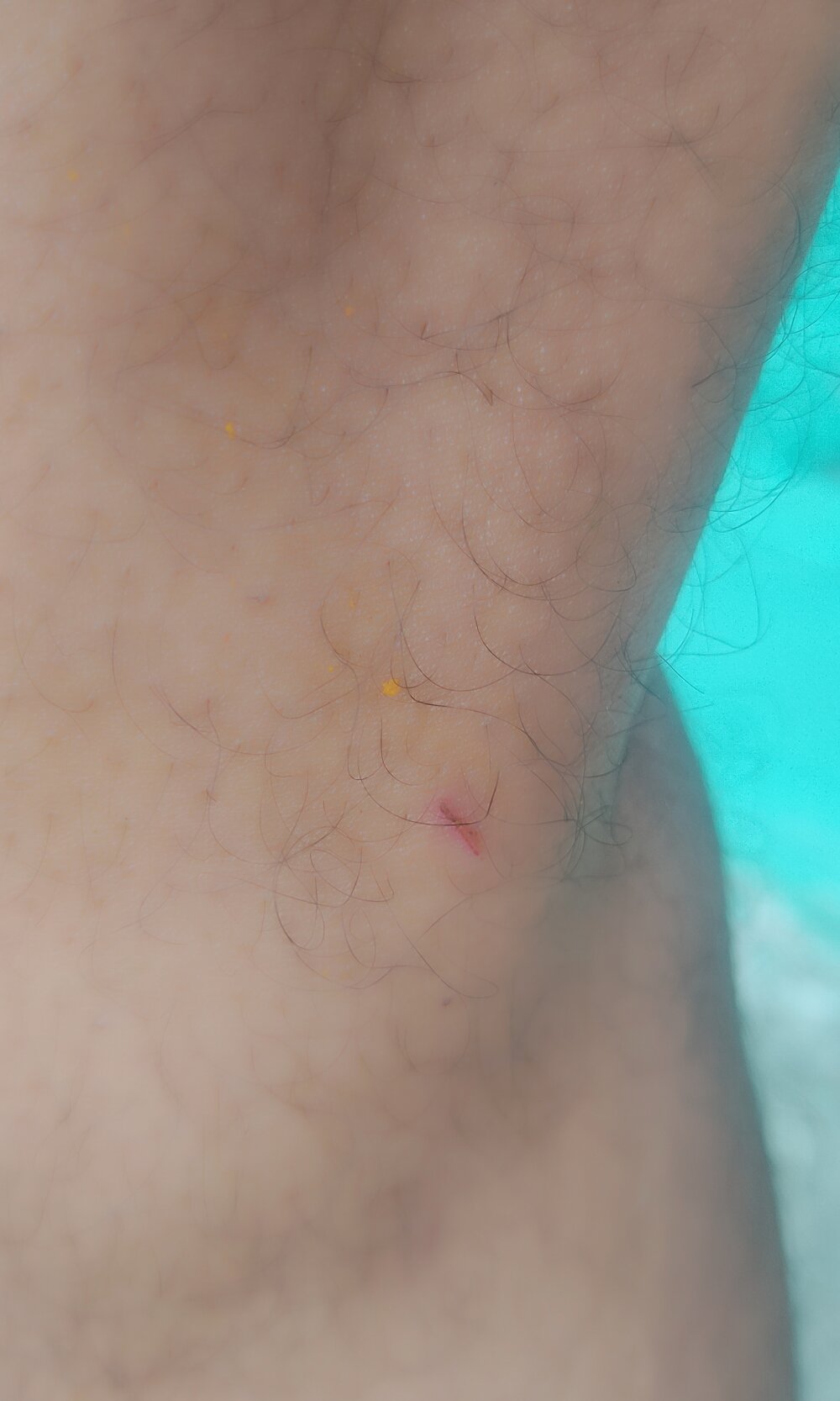 Bangingchick Chatroom