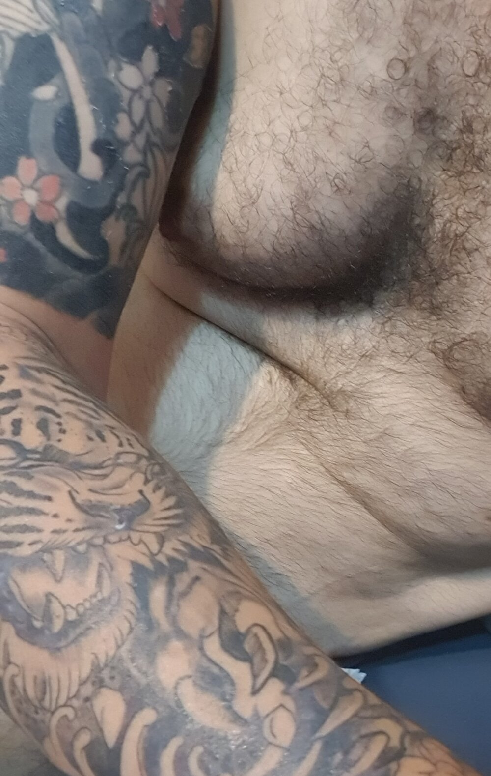 BarbudoSP35 Chatroom