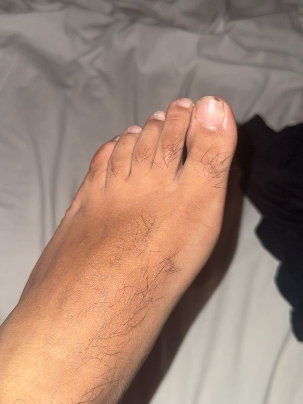 Brownadam111 Chatroom