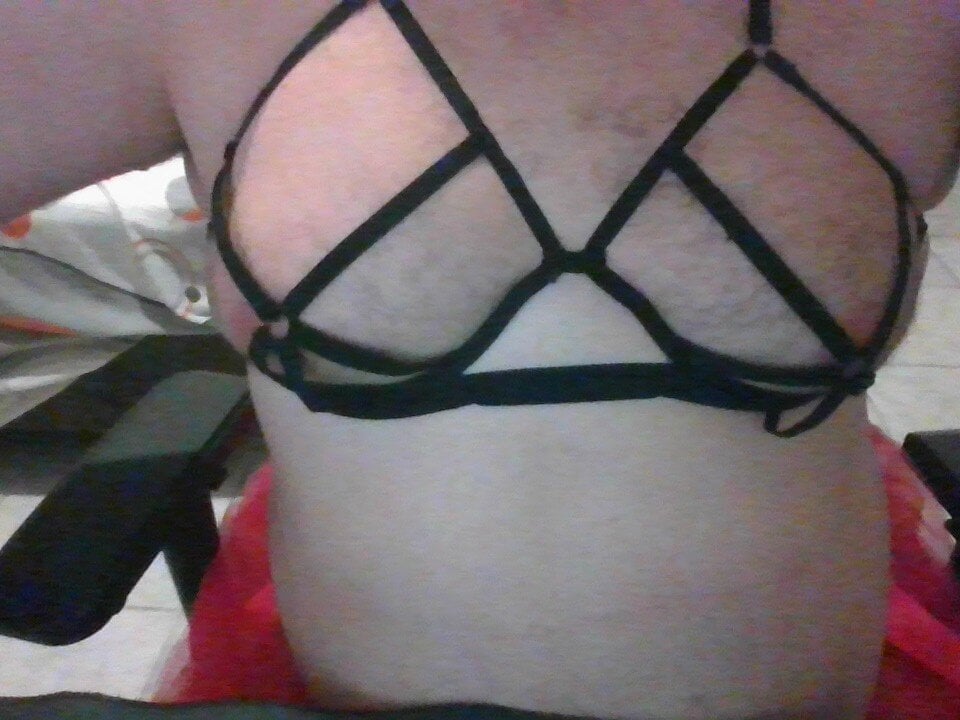 Brsecretbear Chatroom