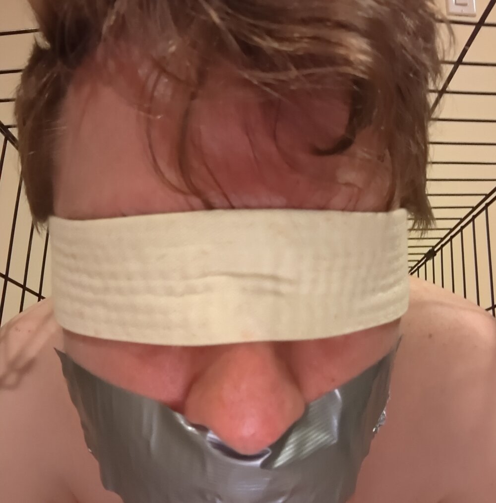 Cagedboytoy Chatroom