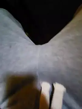 Cameltoekilla Chatroom