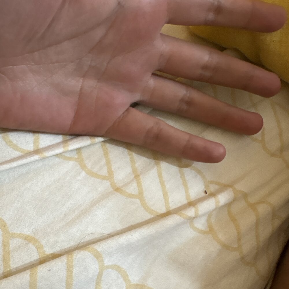 CazzONE1012 Chatroom