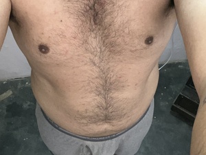 DESI_BULL_PUNJAB