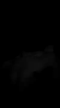 Deniell-01 Chatroom