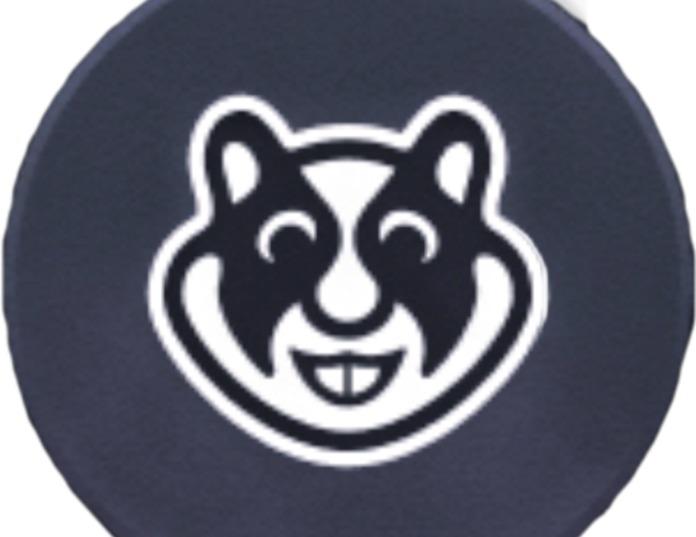 GIzly Chatroom