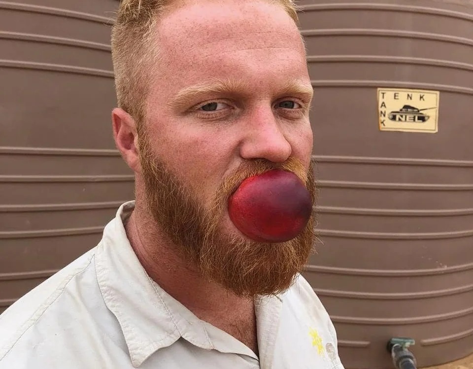 GingerFun Chatroom