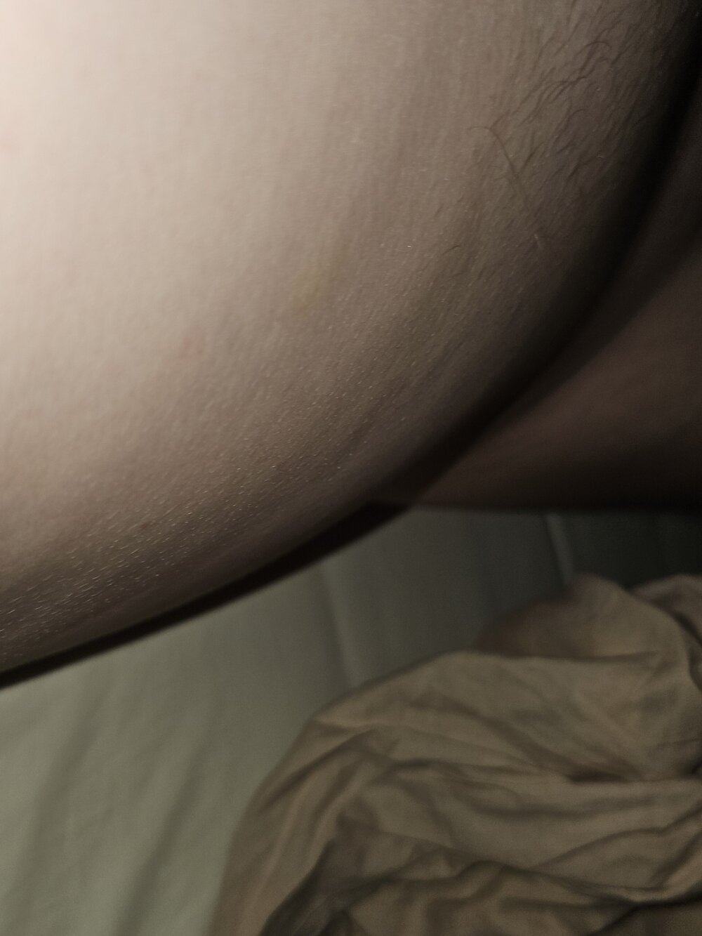 GingerLegend Chatroom