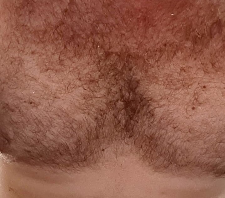 HairyBearTopDominant@xh Chatroom