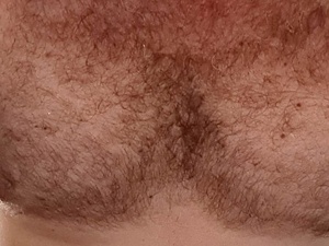 HairyBearTopDominant@xh