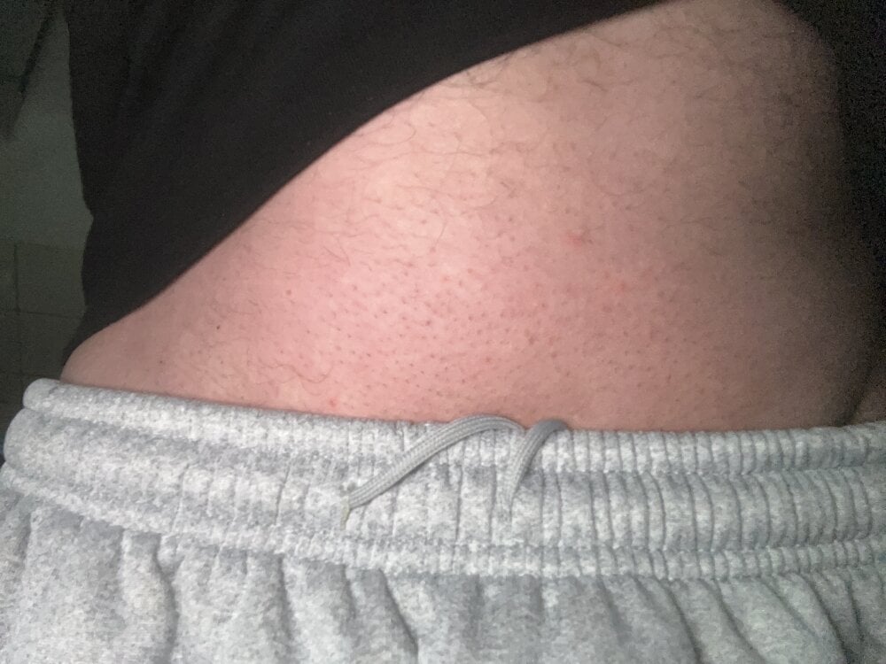 Hamsterdich Chatroom