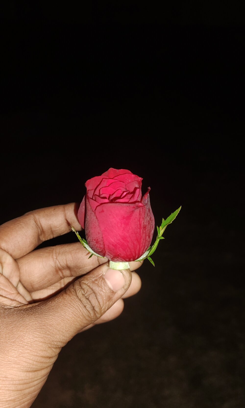 Hotcopuls00 Chatroom