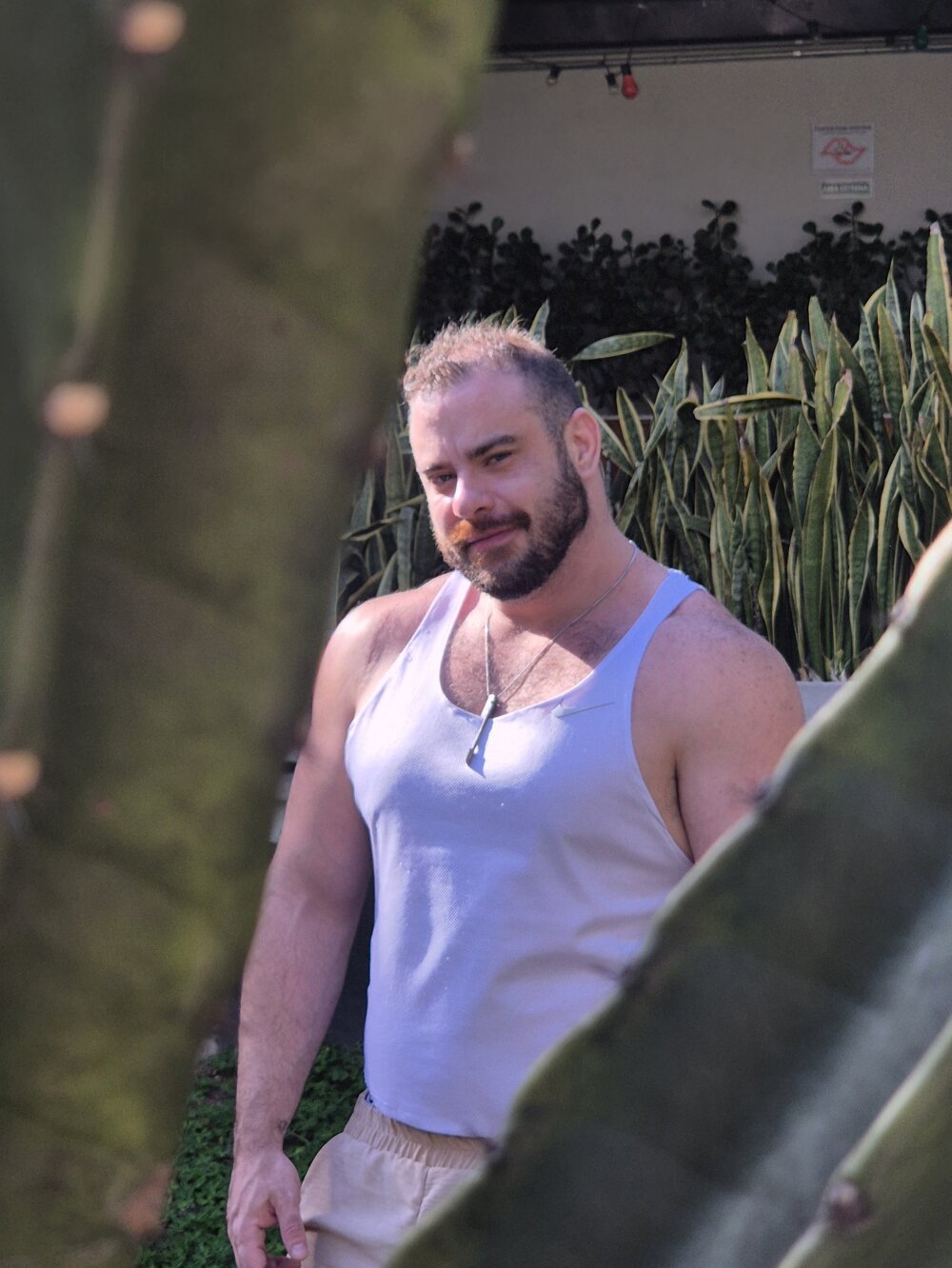 ItalianBrazilian Chatroom