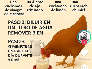 Joselo2319