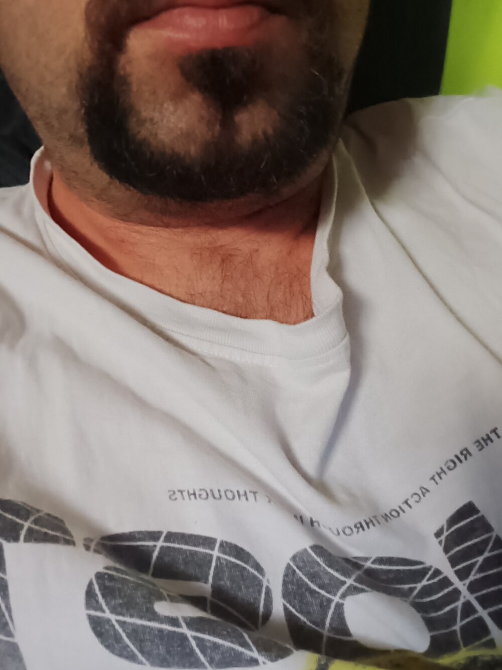 Lecheroachorros Chatroom