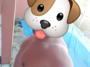 LindoTicudo