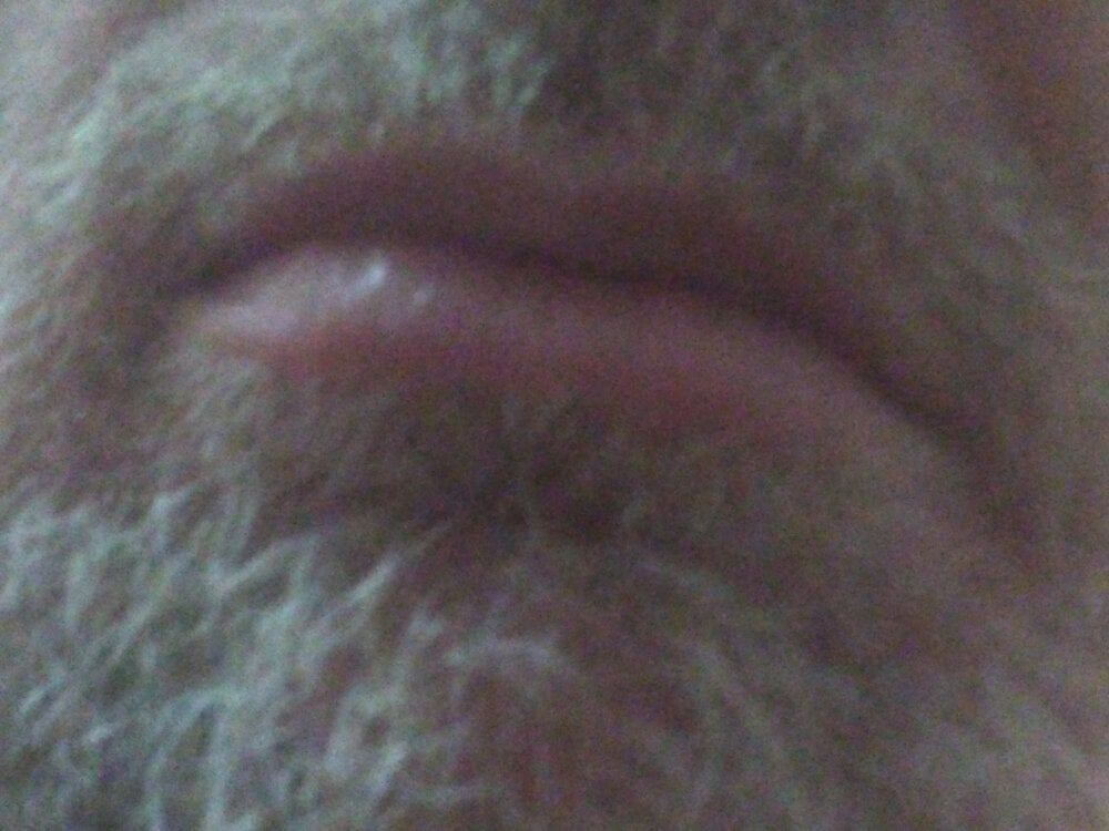 Loiroquermacho Chatroom