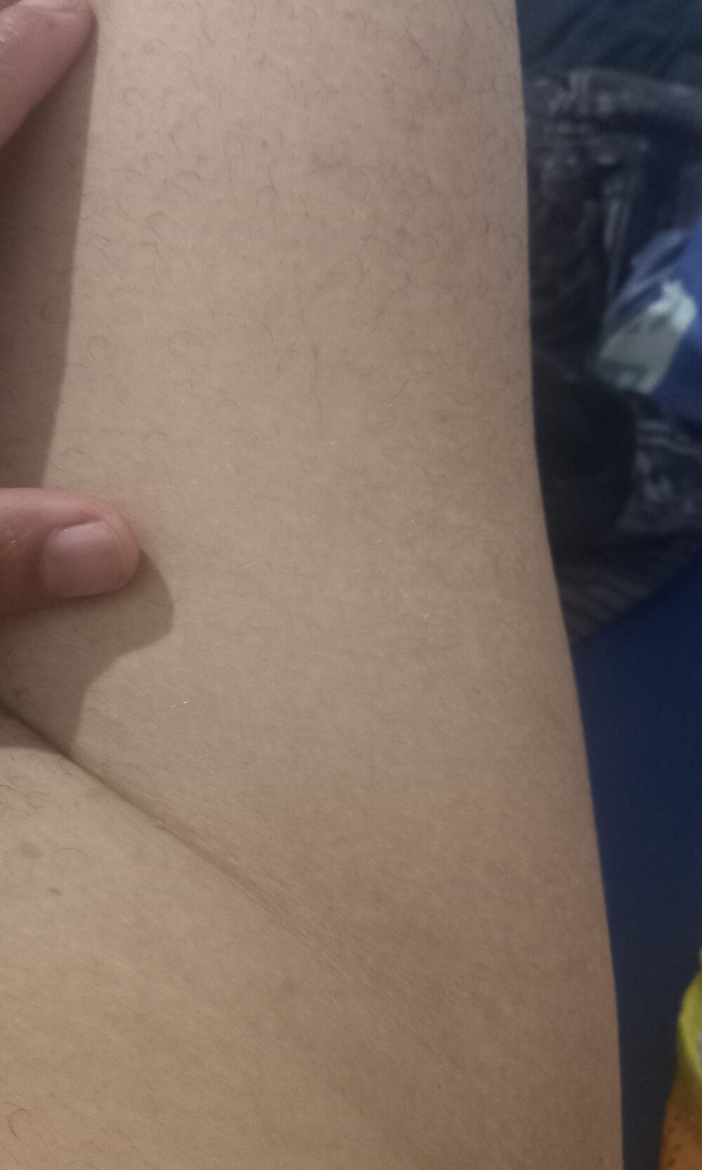 MadeiraTorta Chatroom