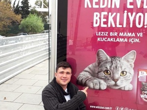 Mertdostt