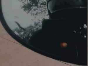 MisterMond30