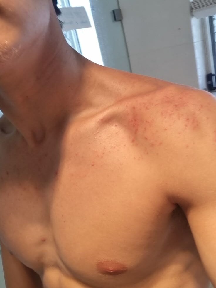 Mohammed875 Chatroom