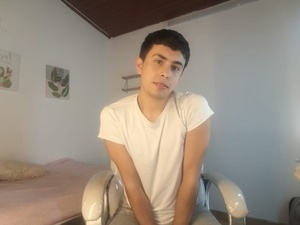 Nyko_ds