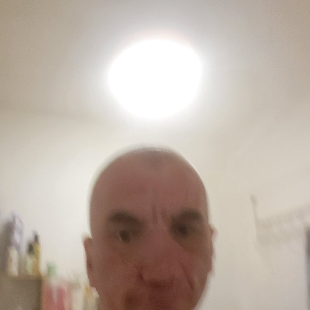 Polish41 Chatroom