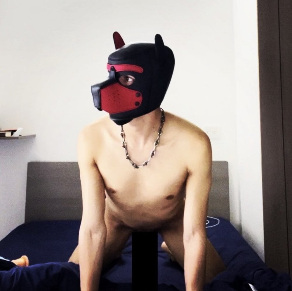 Robbie_Doggie Chatroom