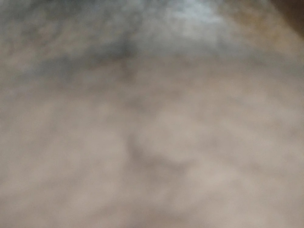 SL_daddy Chatroom