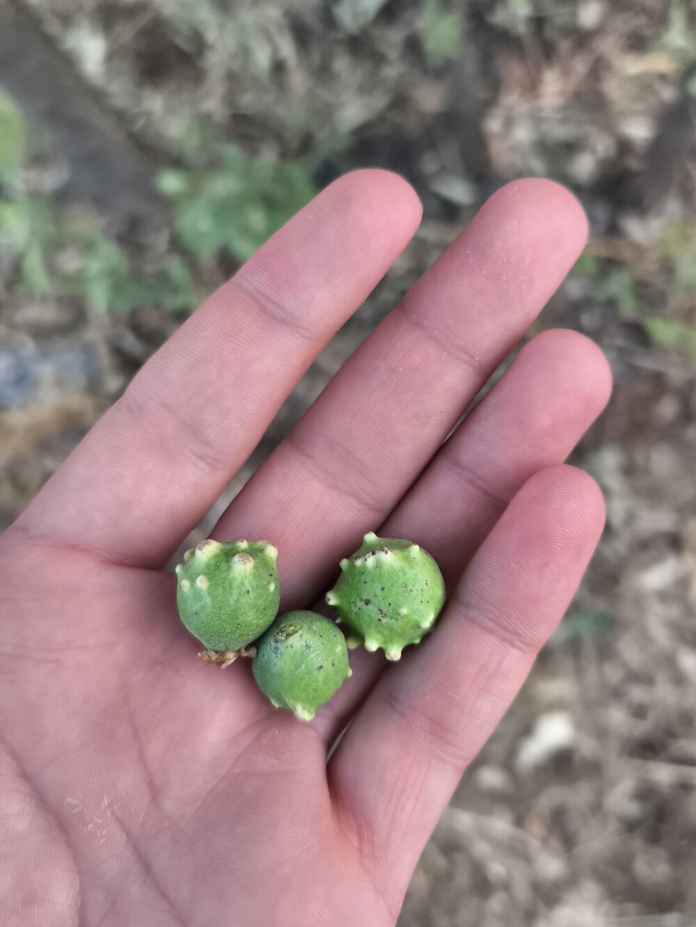 Sert_erkek21_ysm Chatroom