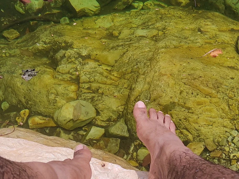 Stripboychn Chatroom