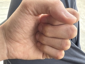 Telugukannadabull