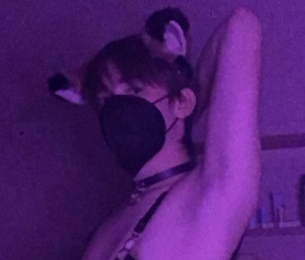 Tiny_PocketFox Chatroom