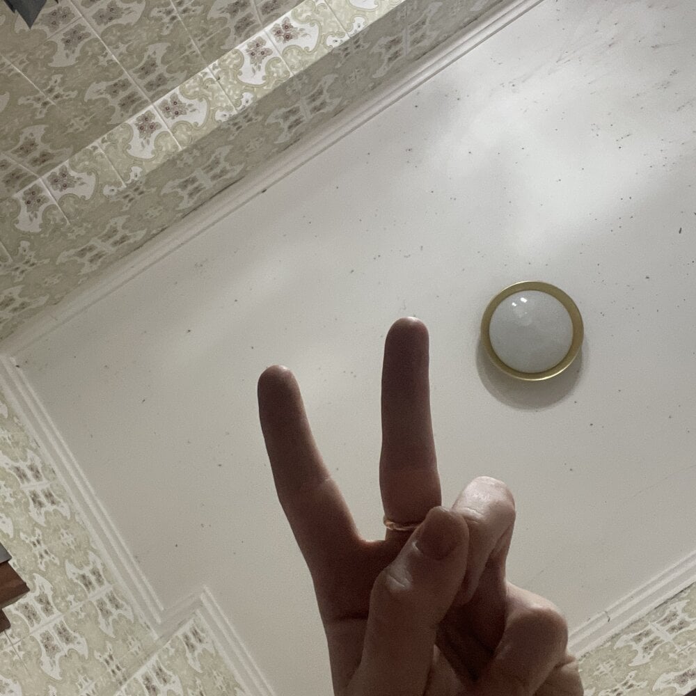 Torradeira24 Chatroom