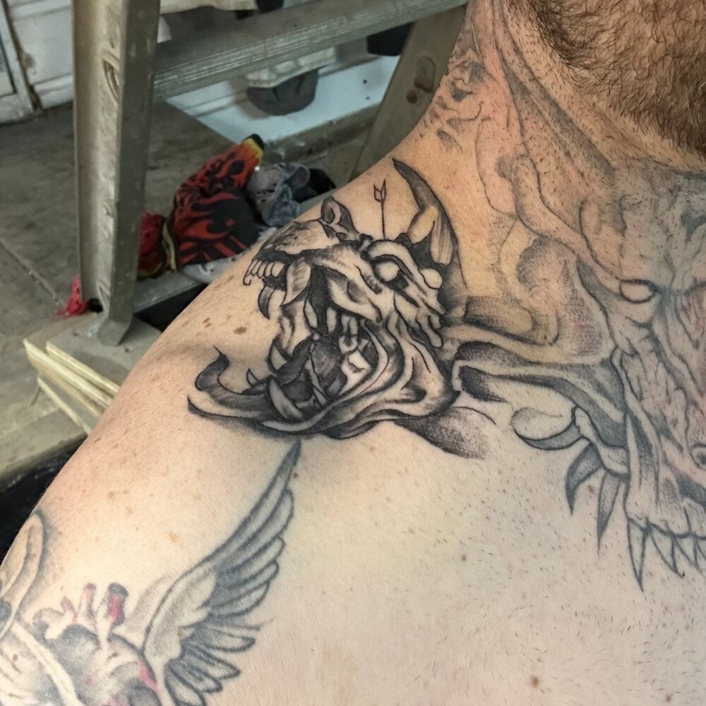 WIDBIGWHITECOCK Chatroom