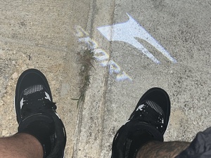 YadielPublic