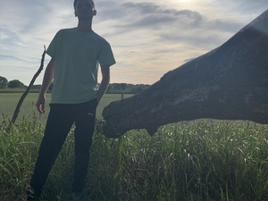 YoungGreen