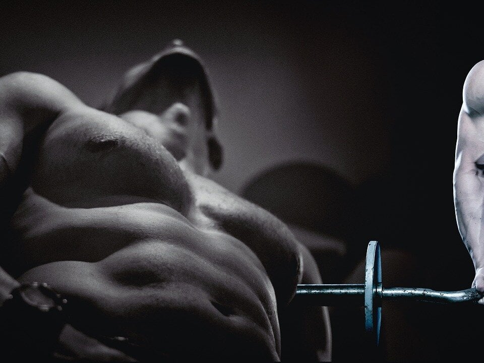 YourBlackBull Chatroom