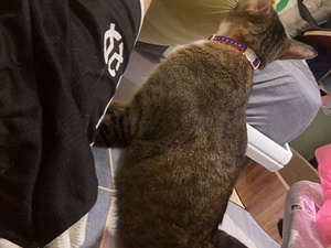 bigbb101011