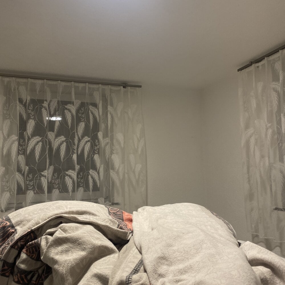 bigdickalbaner21 Chatroom