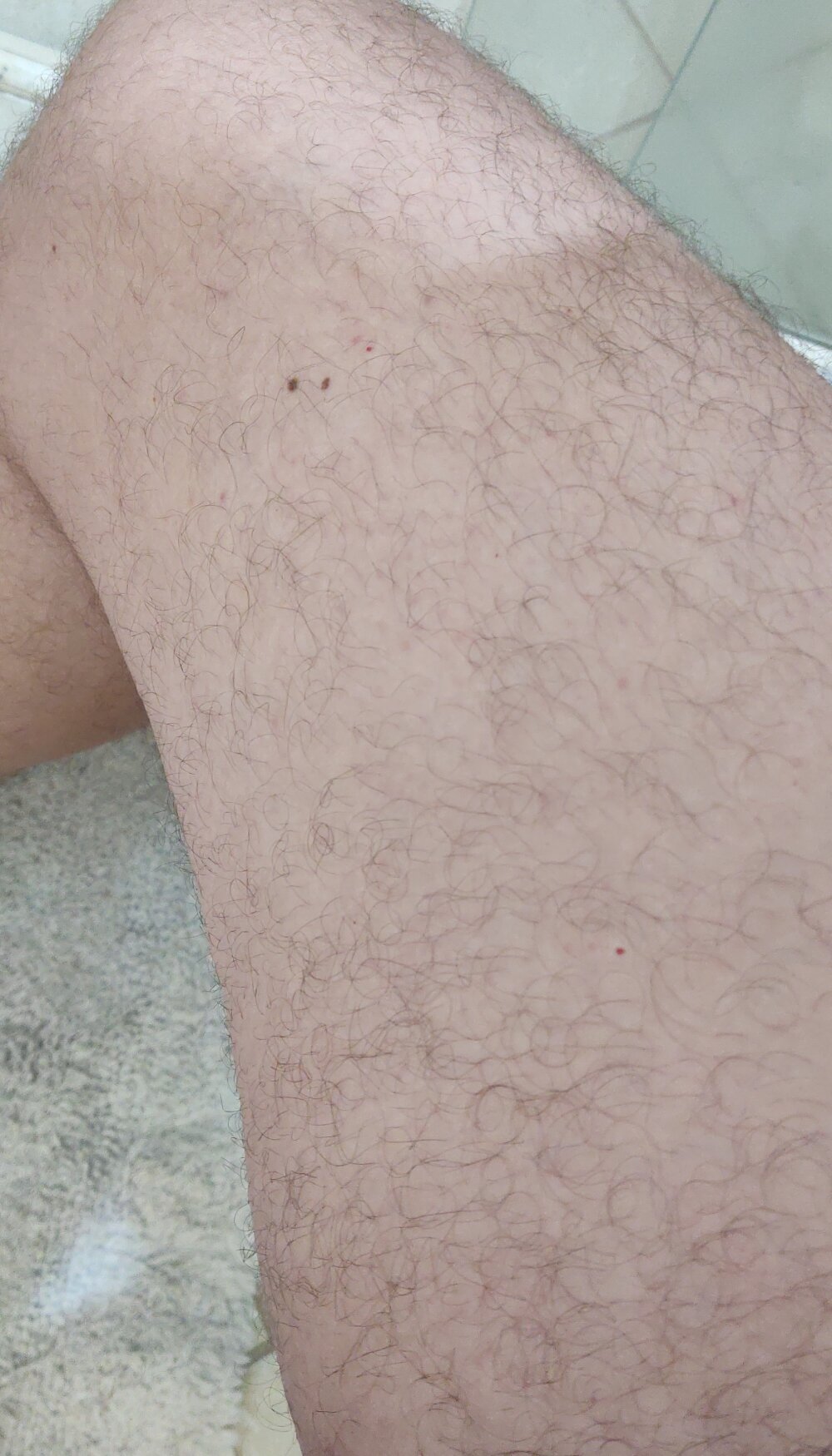 carvalhesco Chatroom