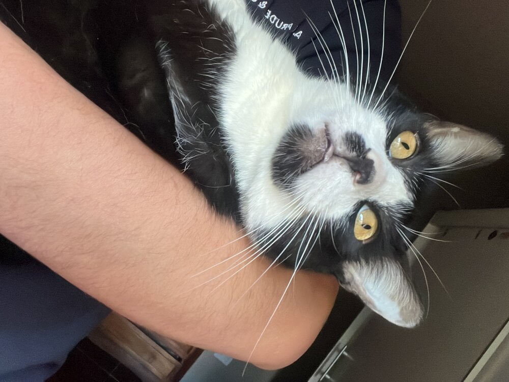 cazadornocturno1997 Chatroom