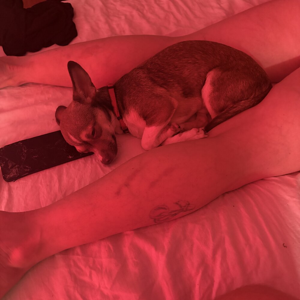 cloudyplay661 Chatroom