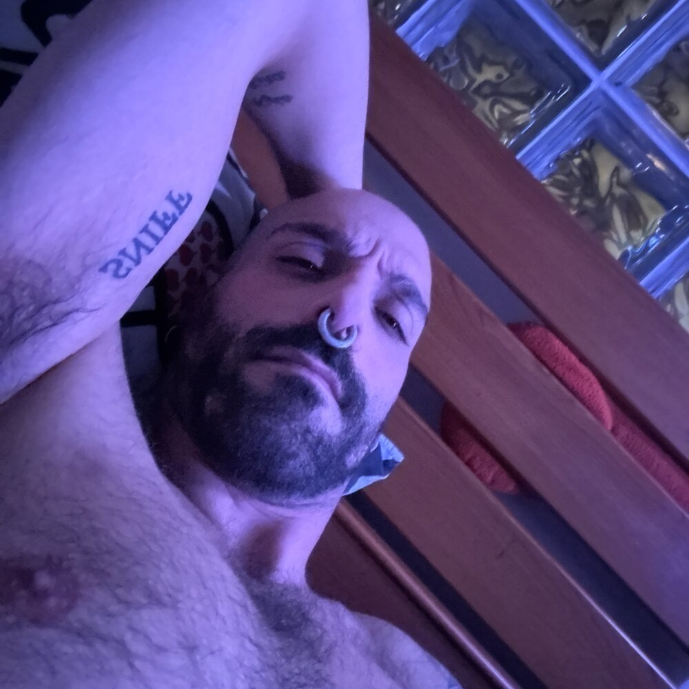 danix_wild_wolf Chatroom