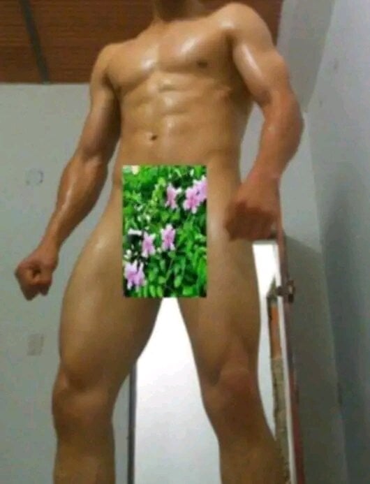 escanor95077 Chatroom