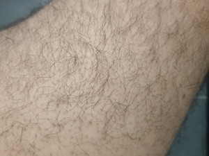 hairyfatboy99