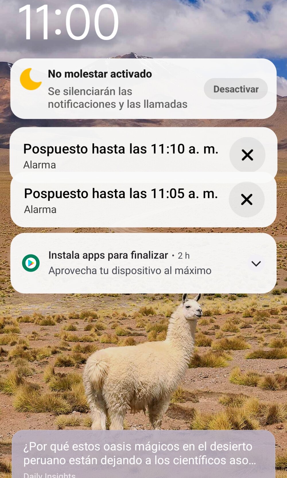 lechito22_R Chatroom